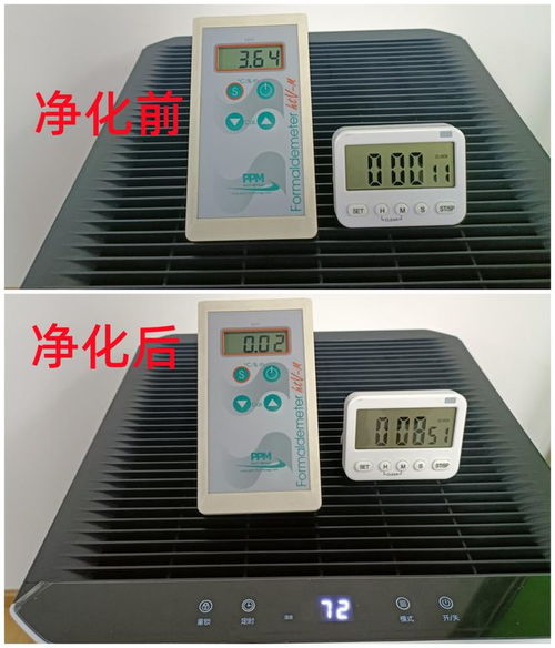空氣凈化器能否除甲醛？新頤小白空氣凈化器實測分析與品質優選